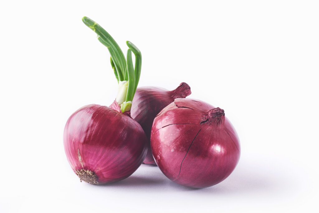 Fresh Onions from Blue Ocean Business Pvt. Ltd.